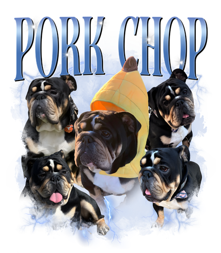 pỏk chop.png