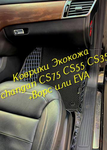 d6ee359dc3b53ce9614a63cc70952ba3.jpg