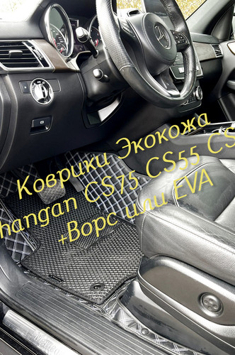 a16ad79da050cec7b5db732bef653e09.jpg