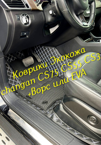 dfc2b44354e13153c1a12b745903670d.jpg