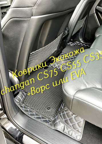 8cbe860253c7168504802345749f2079.jpg