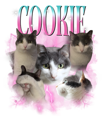 cookie.png