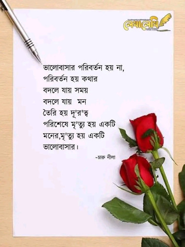 1700475981652.jpg