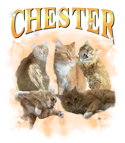 chester.png