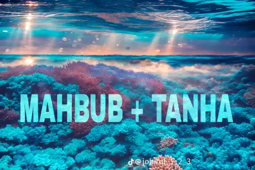 3fba4428a9a18863323bfab251d8fae3.webp