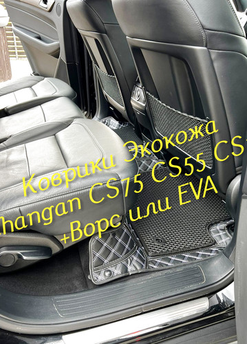 ea5ce0044c038bd10daea79225756cf1.jpg