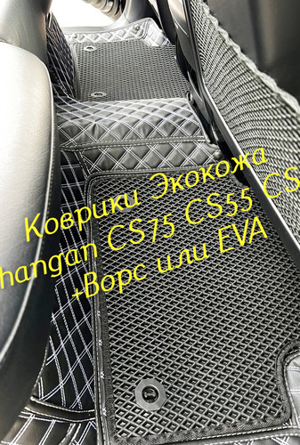 ae03753a7619c76d0bd452bd2aee7397.jpg
