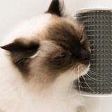 Catit Senses 2.0 Self Groomer
