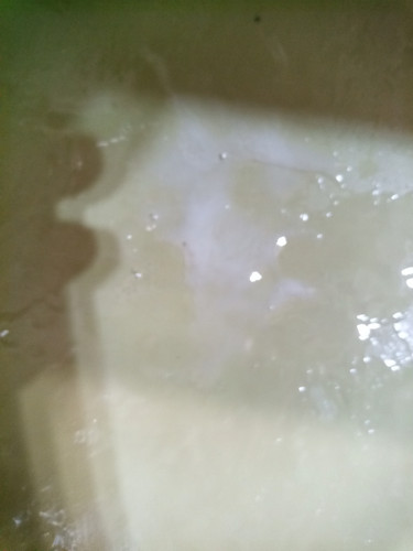 IMG 20231202 122837 692.jpg
