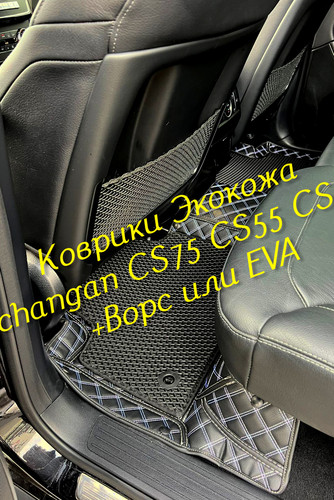 d6611fb7744f51afada5222484115288.jpg