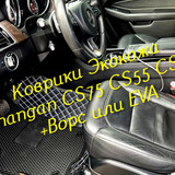 2e76ecf1ce11c3d31073c85c120a8492