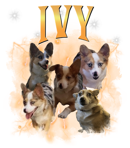 ivy.png