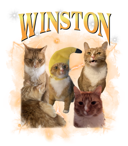 winston.png