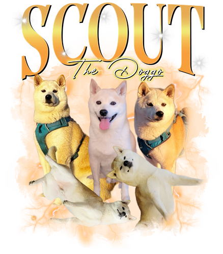 3109999993.png