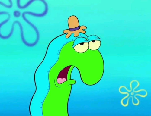 image.jpg