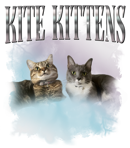 kite.png