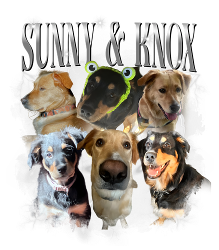 sunny ̃ know.png