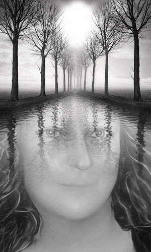 b and w trees reflection.jpg