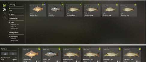 fish.png