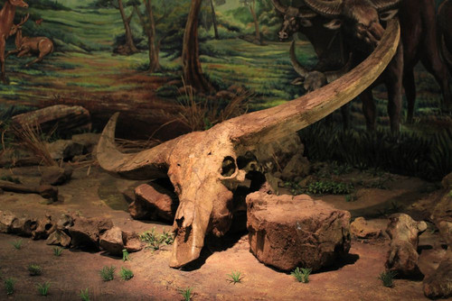 shutterstock 1669629421 Sriyana 63b5d7f181.jpg