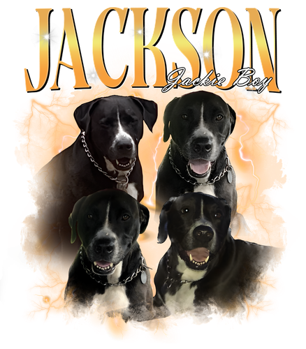jackson.png