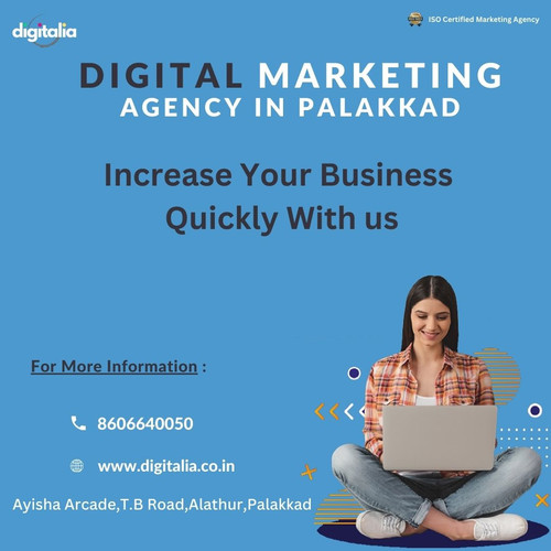 DIGITAL MARKETING AGENCY IN PALAKKAD (6).jpg