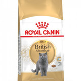 British Shorthair Adult 4 KG