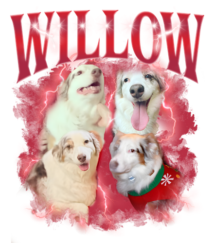 willow.png