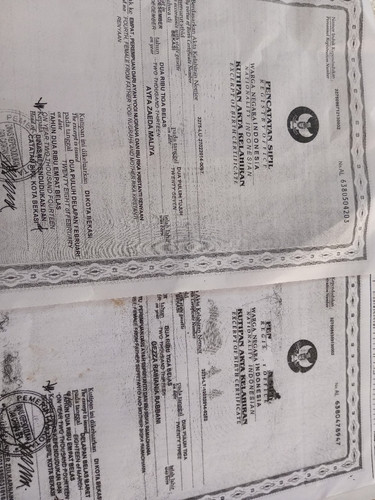 scaled 0e8876e7 303a 4f46 bf44 526c9246f7513690054553202498767.jpg