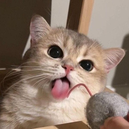 undefined.jpg