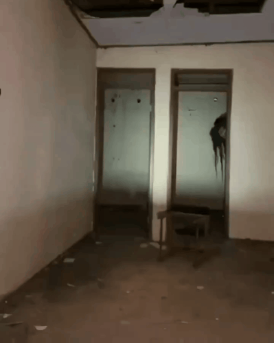 GIF 231202 145312.gif