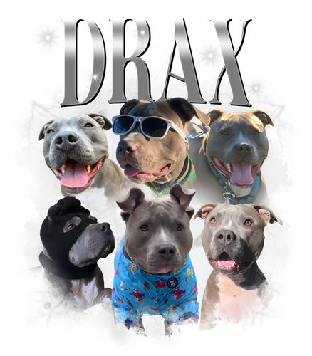 drax.png