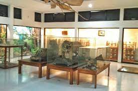 Museum Gembira Loka(3).jpg