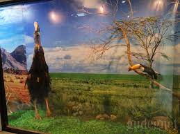 Museum Gembira Loka(4).jpg