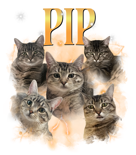 pip.png