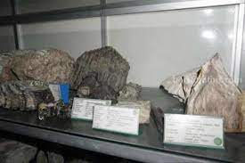 Museum Rajek Wesi (Pagor)(1).jpg
