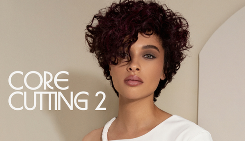 Core Cutting 2[57].png