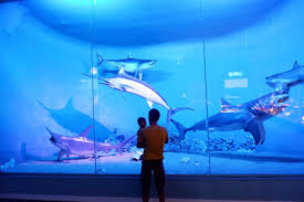 Museum Jawa Timur Park 2(1).jpg