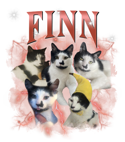 finn red.png
