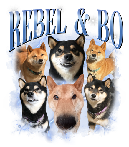3119220008.png