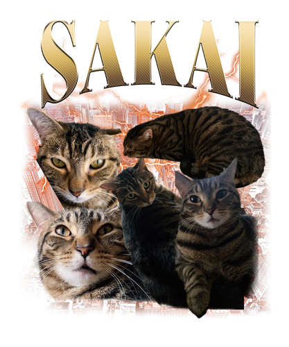 Sakai 3109190071.png