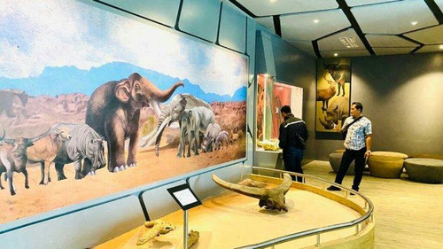 museum situs semedo tega.jpg