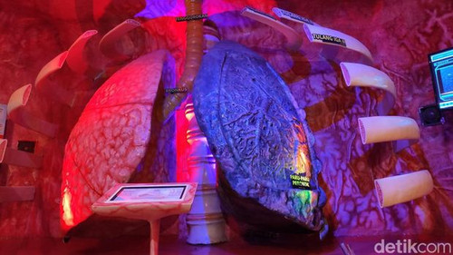 the bagong museum anatomi tubuh jatim park 1 6 169.jpg