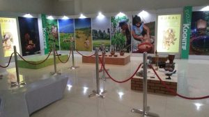 Museum Bukuran Museum Cantik di Tengah Pedesaan di Situs Sangiran 4 300x169.jpg