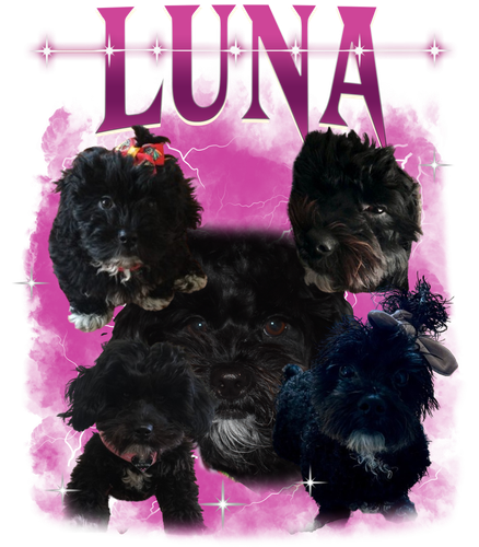 Luna.png