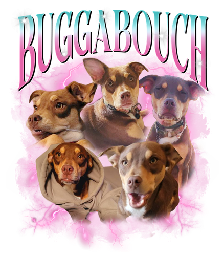 3103746823.png