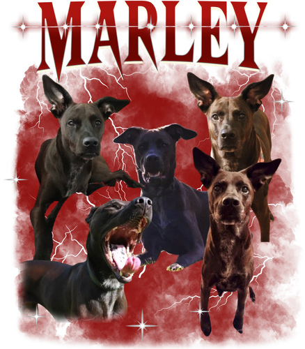 Marley.png