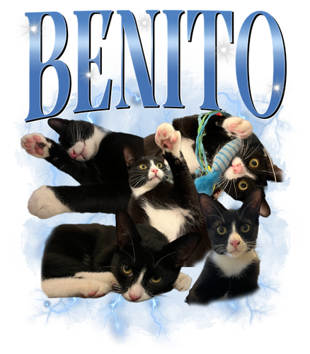 3108300217.png