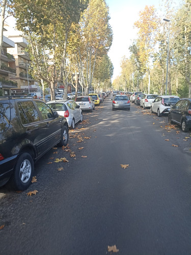 IMG 20231201 123844.jpg