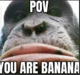 Capture d'écran 2023 12 02 145714.png